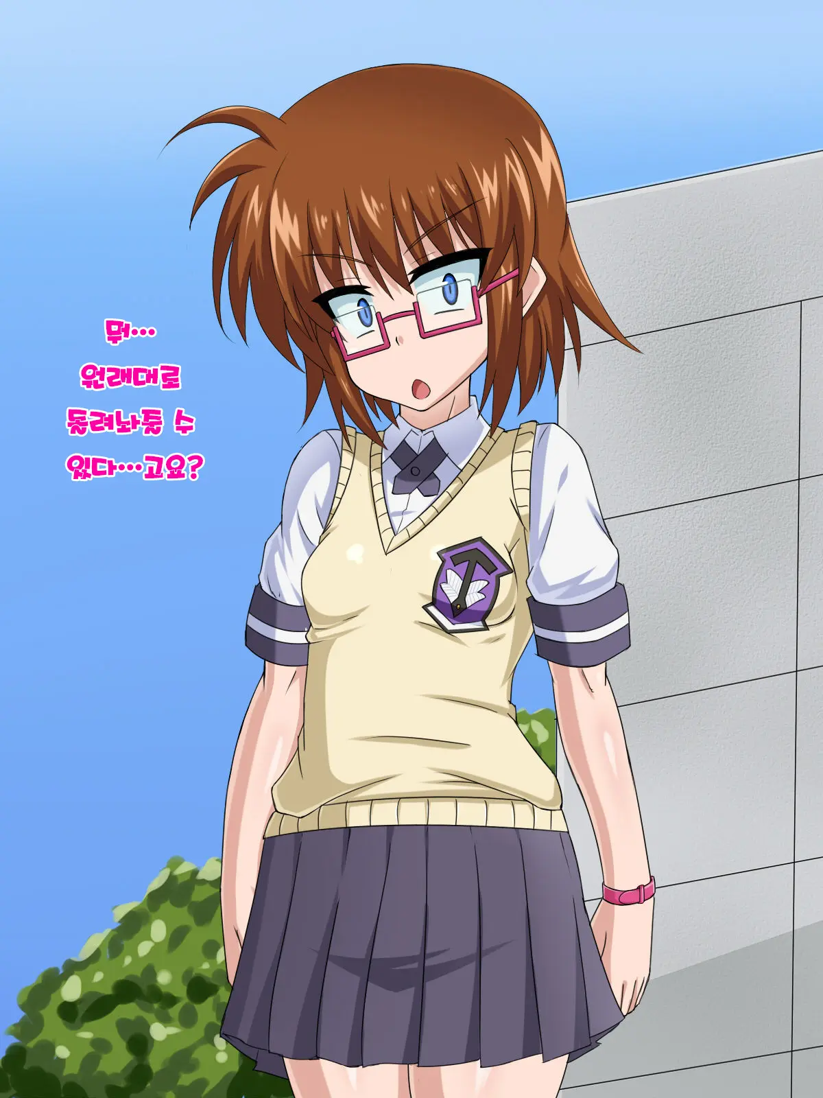 Kininatteita Onnanoko Ga, Itsunomanika Kimobuta Otoko No Ochinpo Ana Ni Tsukuri Kaerareteita... ~Yogosare Ochirutosareteiku Ou To Shinka~